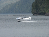 Watching the Sea Planes